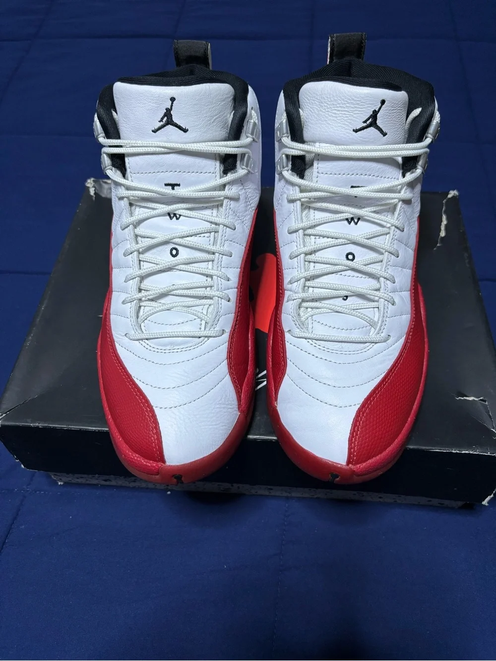 Jordan 12 Retro Cherry 2023 Size 10